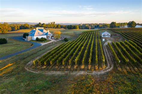 Boxwood winery - About. Boxwood Estate Winery in the Middleburg Virginia AVA, is the fulfillment of a long-held dream by proprietor John Kent Cooke, former owner and president of …